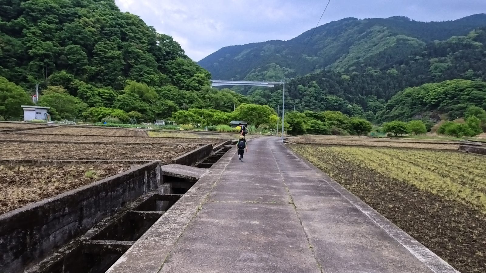 谷峨駅から嵐橋へ向かう田んぼの間の舗装路。子供がひとりで先を歩いている。奥に吊り橋が見える。