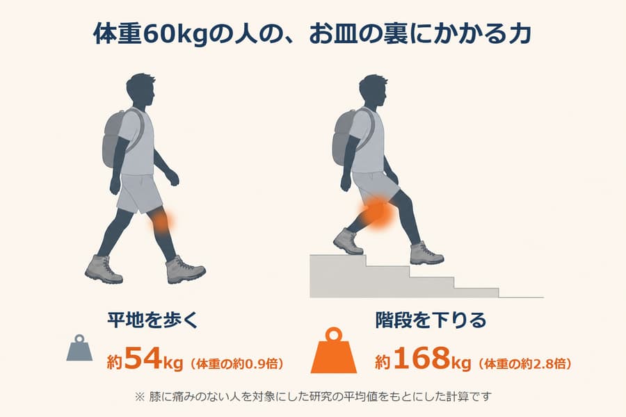 体重60kgの人のお皿の裏にかかる力。平地を歩くと約54kg(体重の約0.9倍)、階段を下りると約168kg(体重の約2.8倍)