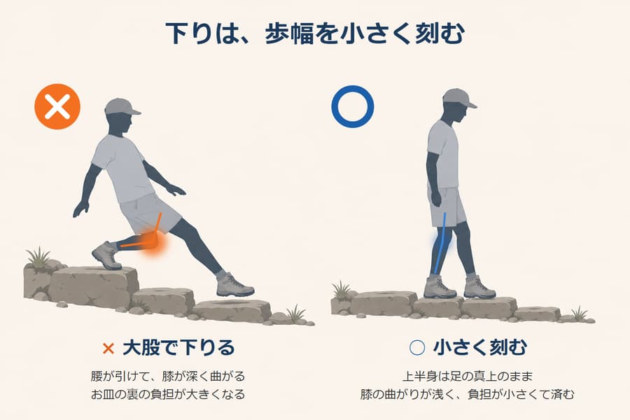 大股で下りると腰が引けて、上の段で支える脚の膝が深く曲がる。小さく刻むと上半身は足の真上のまま、膝の曲がりが浅く済む