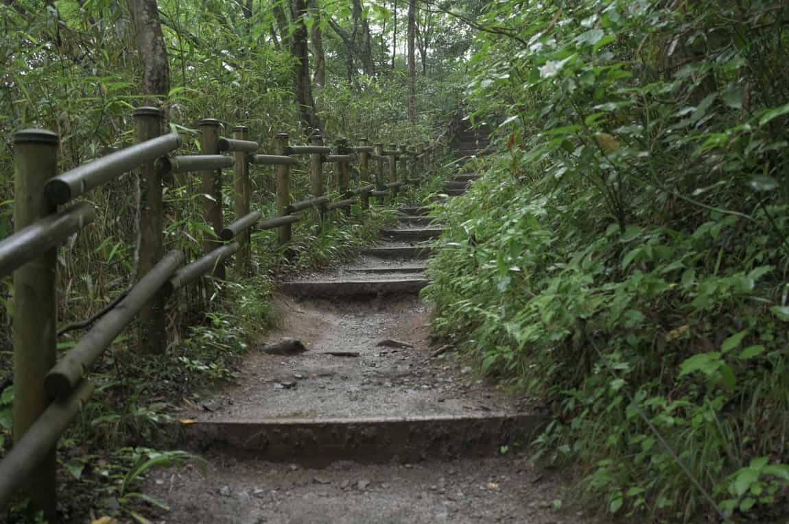 木の手すりのついた土の階段。高尾山にはこうした段差の続く区間がある